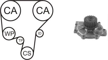 Насос води + комплект зубчатого ремня AIRTEX WPK146502