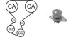 Насос води + комплект зубчатого ремня WPK169201