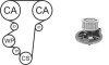 Насос води + комплект зубчатого ремня WPK169601