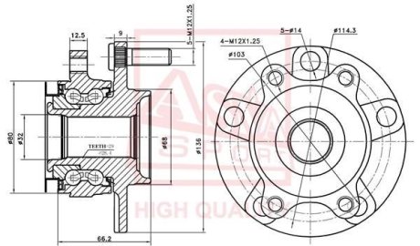 СТУПИЦА ПЕРЕДНЯЯ (NISSAN QASHQAI J10F 2006-) ASVA NSWH-J10F