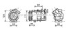 Компрессор кондиционера RENAULT MEGANE 2.0i/SCENIC 1.9DCi (AVA) AVA COOLING RTAK492 (фото 1)