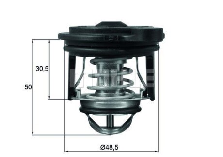 Термостат BEHR TI24650