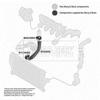 Шлангопровод BORG & BECK BTH1015