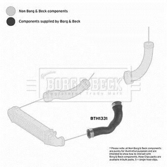 Шлангопровод BORG & BECK BTH1331