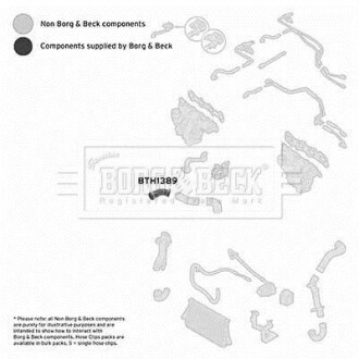 Шлангопровод BORG & BECK BTH1389