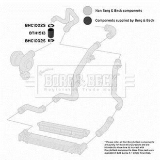 Шлангопровод BORG & BECK BTH1513