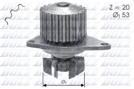 Насос води DOLZ C110