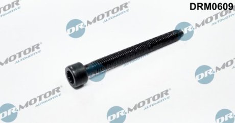 Болт кріплення форсунки DR.MOTOR DRM0609