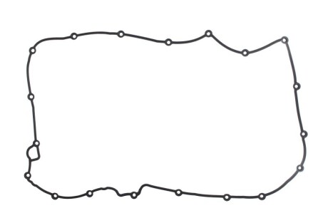 Прокладка клапанної кришки ELRING 904920