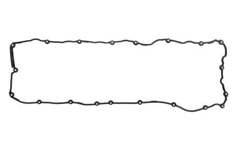 Прокладка клапанної кришки ELRING 938.300