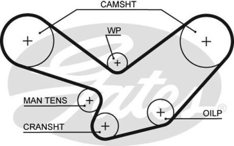 Ремінь ГРМ Gates 5096