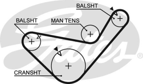 Ремінь ГРМ Gates 5456XS