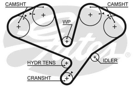 Ремінь ГРМ Gates 5659XS