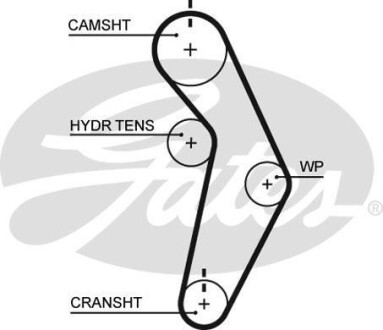 Ремінь ГРМ Gates T245