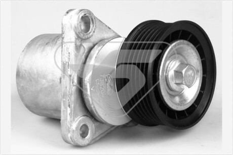 Ролик натяжной Ford Transit VII (06-14), Galaxy II (06-15), Mondeo IV (07-15) HUTCHINSON T0332