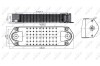 Радіатор мастила NRF 31198 (фото 5)