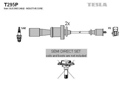 Дроти запалення, набір TESLA T295P