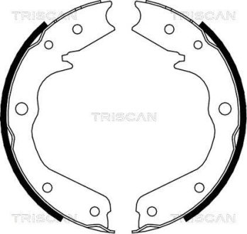 Гальмівні колодки ручного гальма TRISCAN 810024002 (фото 1)