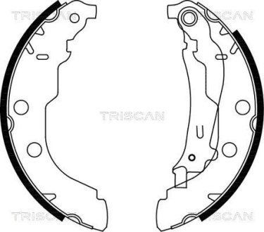 Гальмівні колодки (набір) TRISCAN 810028582