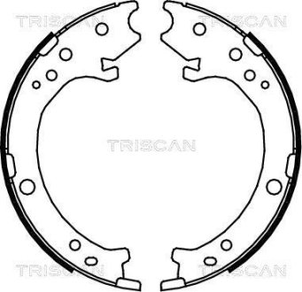 Гальмівні колодки ручного гальма TRISCAN 810040007 (фото 1)