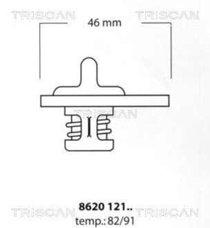 Термостат TRISCAN 862012191