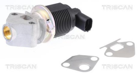 Клапан EGR Seat Cordoba/Ibiza/VW Bora/Skoda Fabia 1.4 00- TRISCAN 881329009