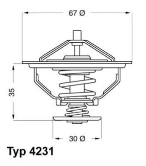 Термостат системи охолодження WAHLER 423180D