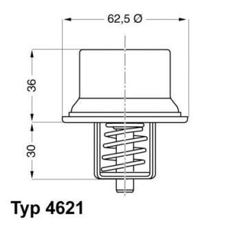 Термостат WAHLER 462180D