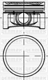 Поршень Renault Kangoo/Clio II-IV 1.2 16V 01- (69.00mm/STD) YENMAK 3104184000