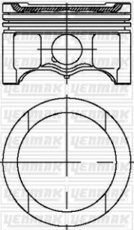 Поршень Audi A3/A4/VW Passat 1.6 96-10 (81.01mm/STD) YENMAK 3104316000 (фото 1)